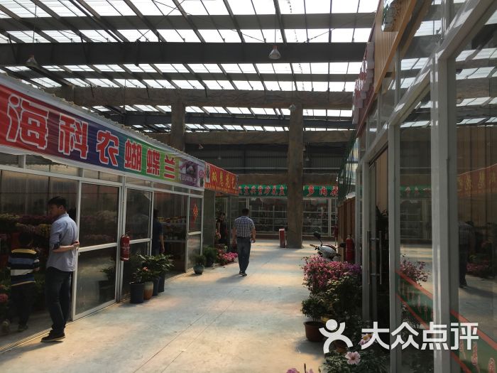 龙大花卉市场-图片-上海购物-大众点评网