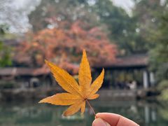 -惠山古镇·寄畅园