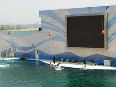 -北戴河圣蓝海洋公园