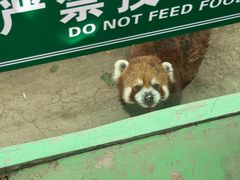 -五龙山野生动物王国
