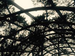 -牛鱼嘴原始生态风景区