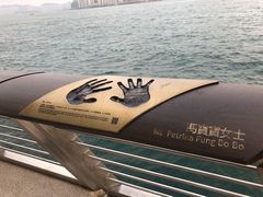 -星光大道