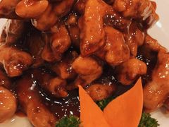 -大顺堂食府(牛街店)