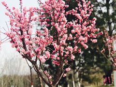 -西安汉城湖景区