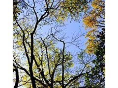 -溪口-滕头旅游景区