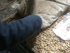 -优农果园(苹果园店)