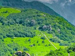 -白草畔自然风景区