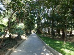 景点-瑞丽独树成林风景区