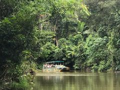 -热带雨林自然公园