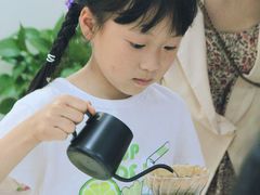 -南湖梦幻岛