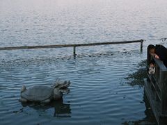-昆山城市生态森林公园