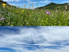 -白草畔自然风景区