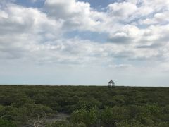 -北海金海湾红树林生态旅游区