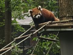 -荆州中山公园动物园