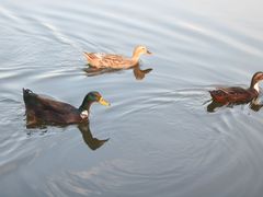 -前关湿地公园