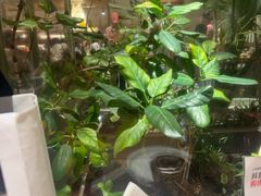 -The Good Place好地方·Brunch·coffee(国贸店)