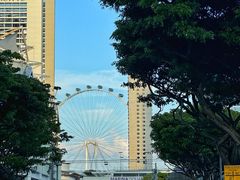 -新加坡摩天观景轮