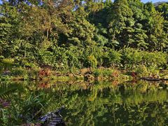 -深圳仙湖植物园