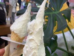 -野人先生Gelato(上海长宁龙之梦店)