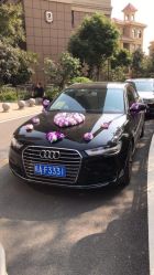 点击看大图 -蚂蚁婚车