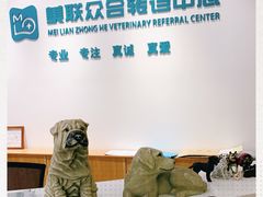 -美联众合动物医院·24h转诊中心