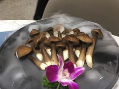 -顺德公猪肚鸡·椰子鸡(惠东天虹店)