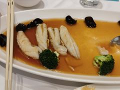 -圆苑(静安寺店)