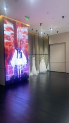 -MuseMarry婚纱(前海嘉里中心店)