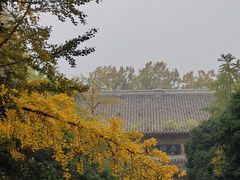 -灵谷景区