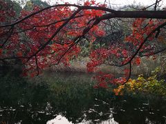 -品湘宴·湖南宁乡菜