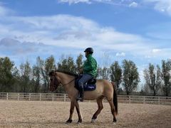 -北京群众马术培训基地