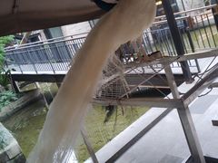 -渝半城经典川粤菜(重庆天地店)