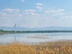 -野鸭湖国家湿地公园