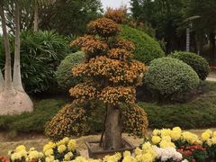 -五通灯塔公园