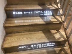 -猫的天空之城概念书店(苏州平江店)
