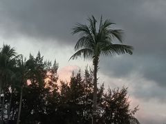 -亚龙湾希尔顿自助餐厅·海鲜·烧烤·沙滩BBQ·现场乐队