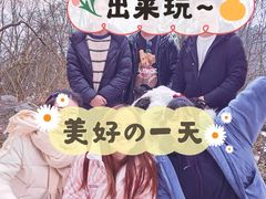 -九峰山