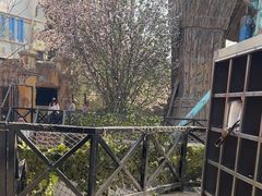 -北京欢乐谷