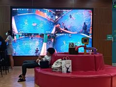 -Swim斯卫姆国际儿童游泳中心(红博中央公园店)