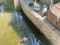 -南宫五洲植物乐园