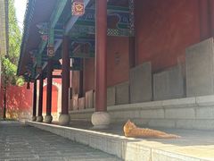 -眼镜粑粑