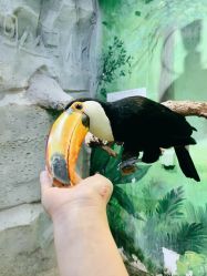 -Zoolung Zoolung动物主题公园(海信广场店)