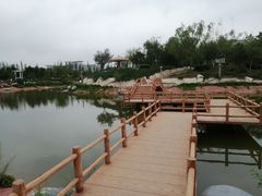 -通辽森林公园