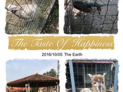 -意大利农场度假村