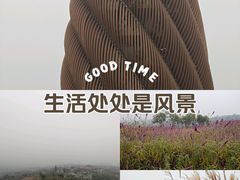 -成都大熊猫繁育研究基地