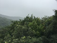 -南山风景名胜区