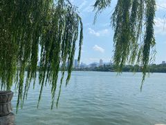 -济南大明湖景区