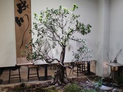 -成川茶店·潮汕工夫浓茶(万象店)