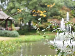 -上海共青森林公园