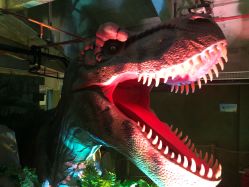 -恐龙探索乐园(磁器口店)